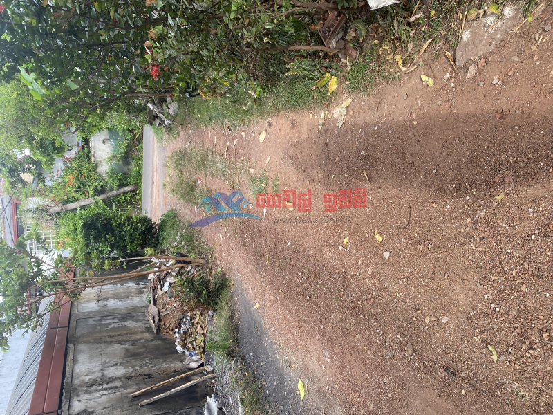 Land for sale in Dehiwala 