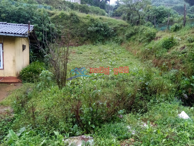 200 perches land with 02 houses for sale in Nuwara Eliya