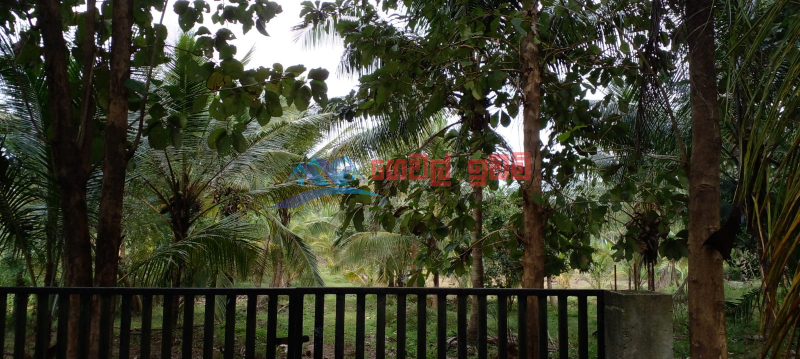 Land for sale in Ibbagamuwa facing Deduru Oya