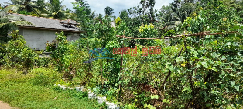 Land For Sale In Akmeemana Walahanduwa 