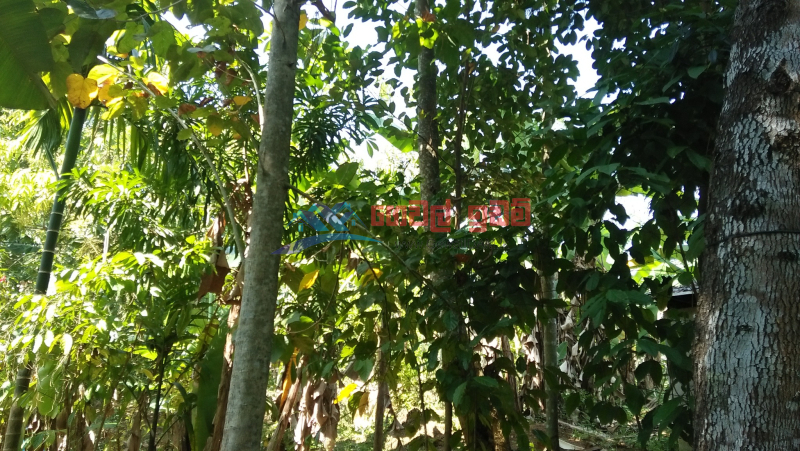 21 Perches Land For Sale In Mirigama