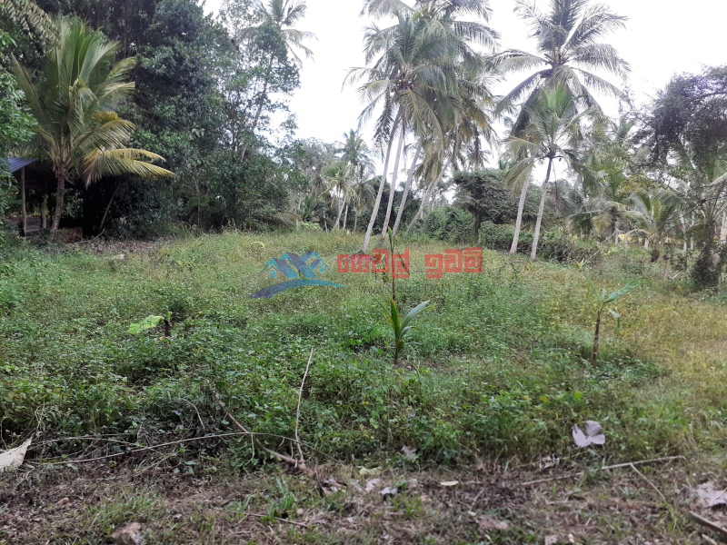 Land for sale in Katupotha