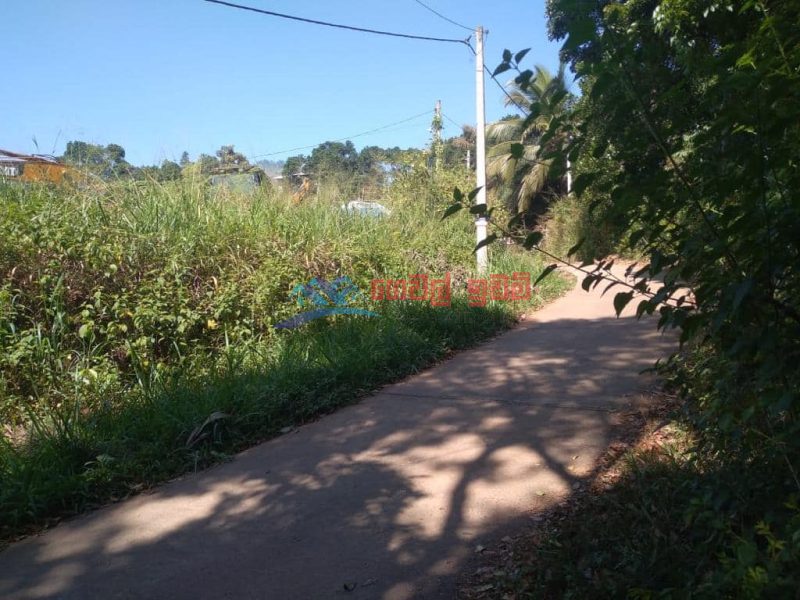Lands for sale in Gampola