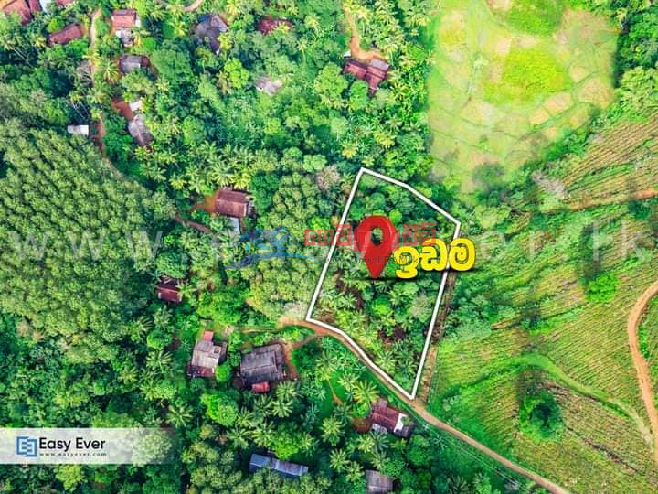 1 acre 8 perch land for sale from Nittambuwa to a beautiful Paddy Field from Urapola city