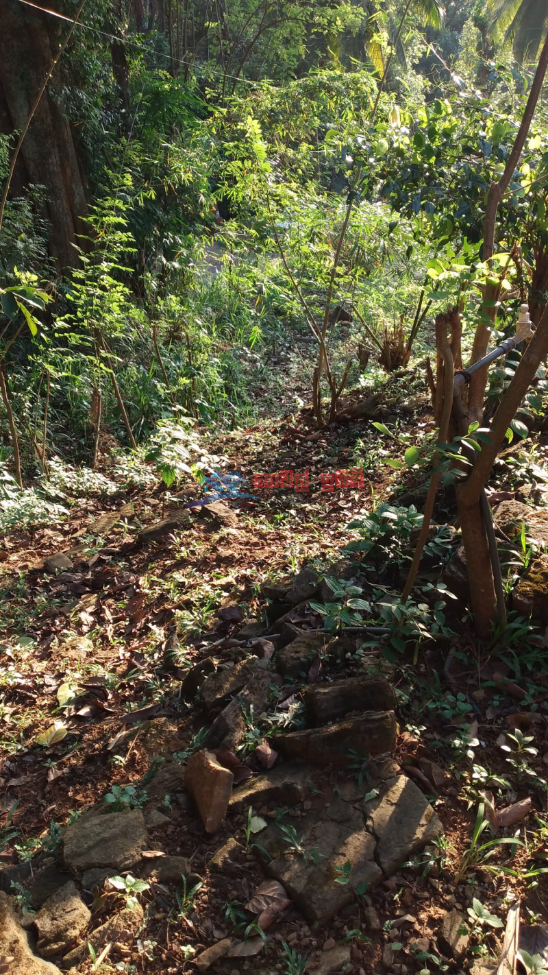 Lands for sale in Kandy