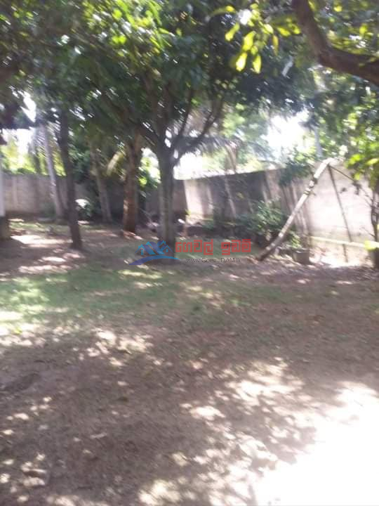 7 Perch Land for sale at Heart of Negombo.
