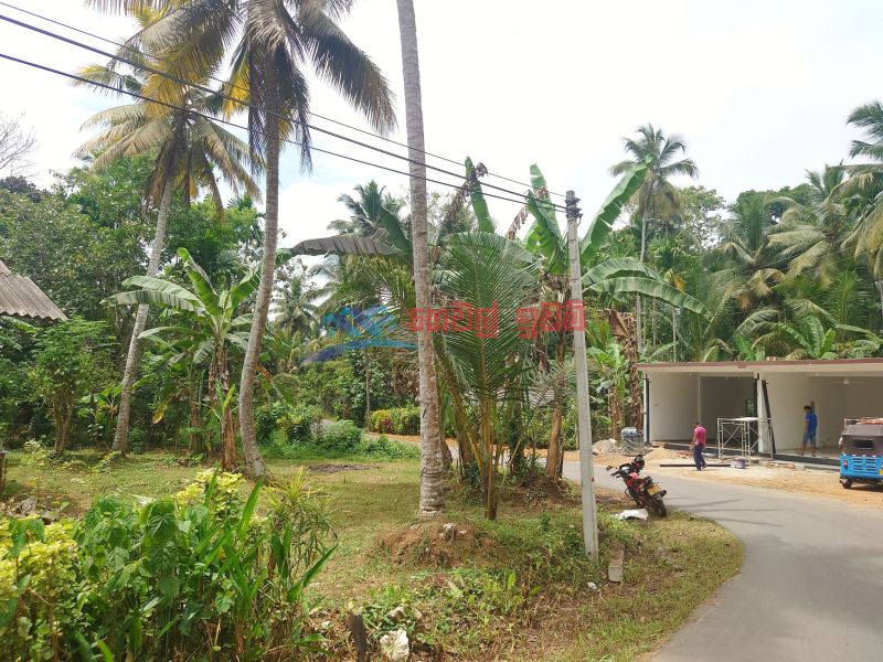 10 perch clear proof land for sale facing carpet road in Parakadamulla area.