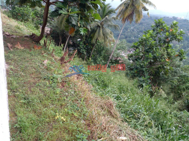 Lands for sale in Kandy