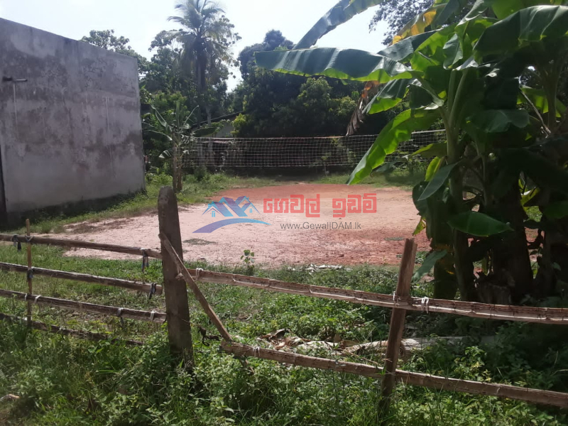 Land for Sale in Ekala, Kotugoda