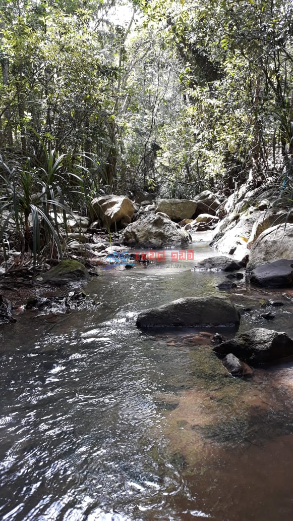 4 Acres Land for Sale in Kandy, Thalathuoya