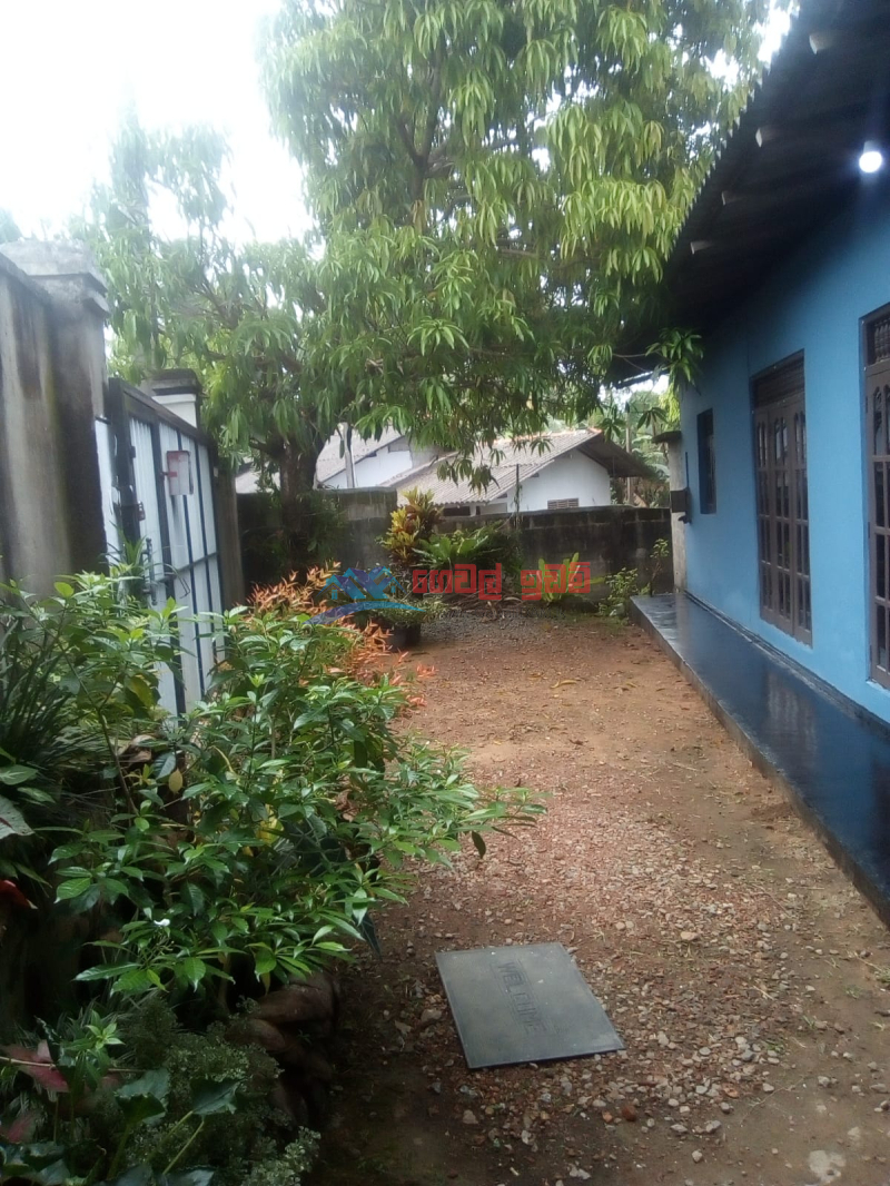 Valuble House with a Land is for SALE in HOMAGAMA!