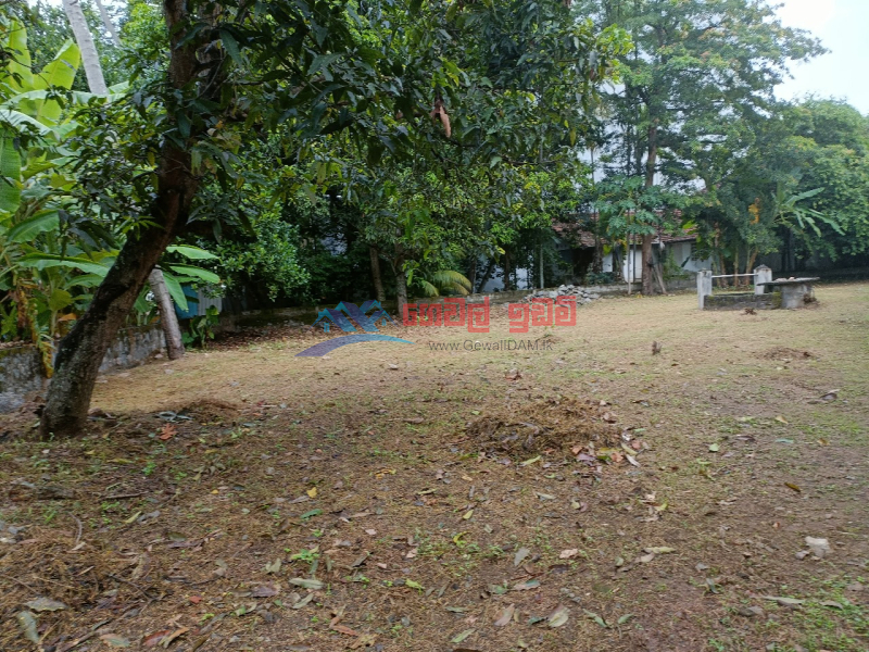 Exclusive commercial plot in the heart of Kurunegala city 