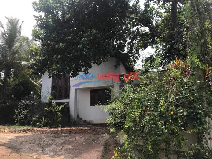 Ganemulla 4BR House for sale with 25P Land